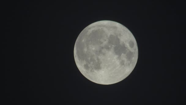 Volle maan aan de donkere nachtelijke hemel — Stockvideo