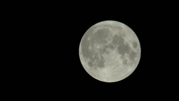 Pleine lune dans le ciel nocturne sombre — Video
