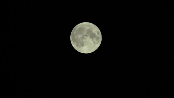 Luna llena en el oscuro cielo nocturno — Vídeos de Stock