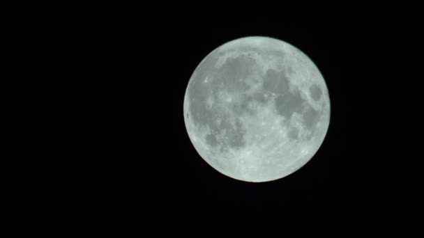 Luna llena en el oscuro cielo nocturno — Vídeos de Stock