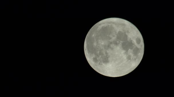 Lua cheia no céu escuro da noite — Vídeo de Stock