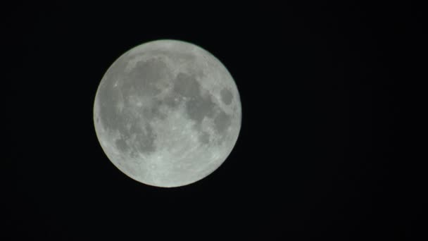 अंधेरे रात के आकाश में पूर्ण चंद्रमा — स्टॉक वीडियो