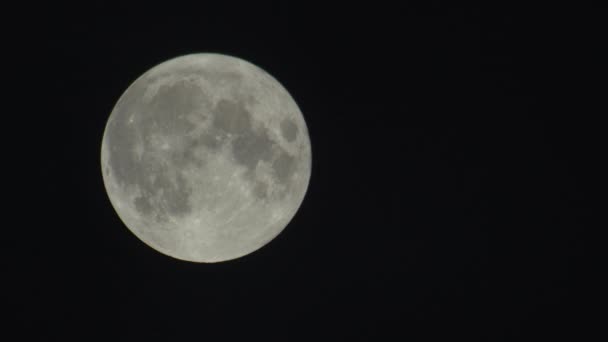 Fullmåne i den mörka natthimlen — Stockvideo