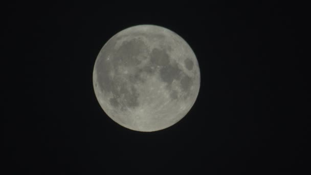 Volle maan aan de donkere nachtelijke hemel — Stockvideo