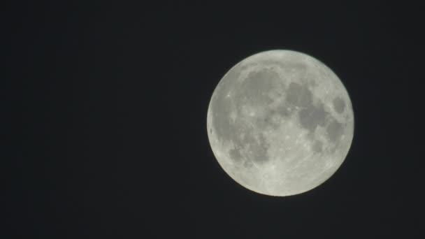 Luna piena nel buio cielo notturno — Video Stock