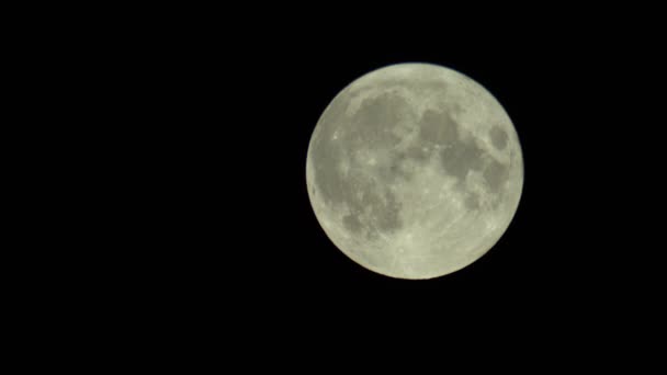 Lua cheia no céu escuro da noite — Vídeo de Stock