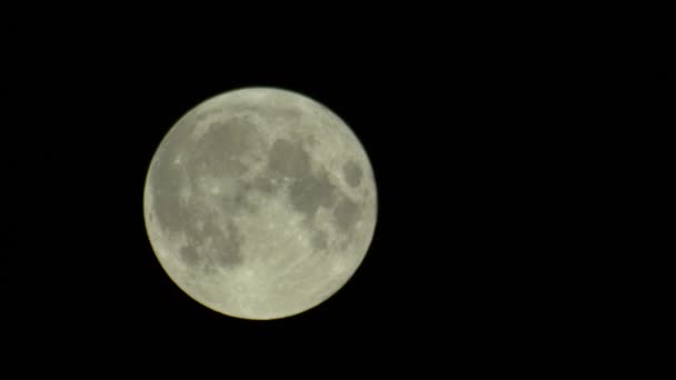 Vollmond am dunklen Nachthimmel — Stockvideo