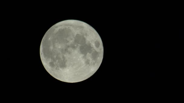 在漆黑的夜空中满月 — 图库视频影像