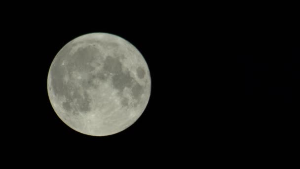 Lua cheia no céu escuro da noite — Vídeo de Stock