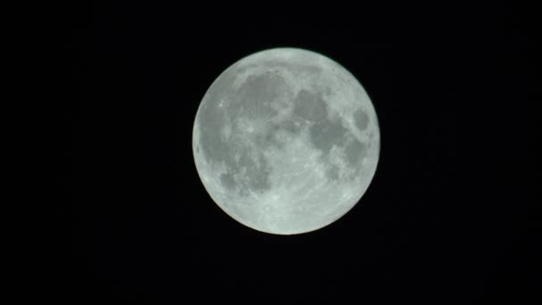 Vollmond am dunklen Nachthimmel — Stockvideo