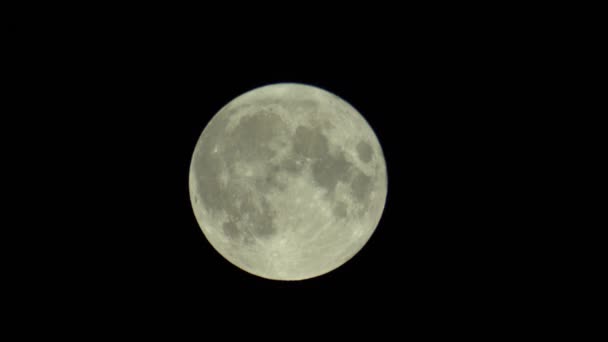 Lua cheia no céu escuro da noite — Vídeo de Stock