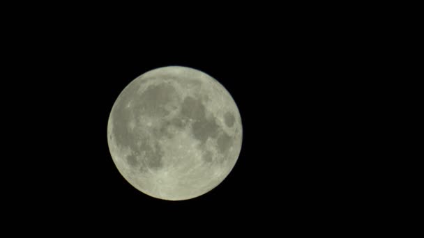 Volle maan aan de donkere nachtelijke hemel — Stockvideo