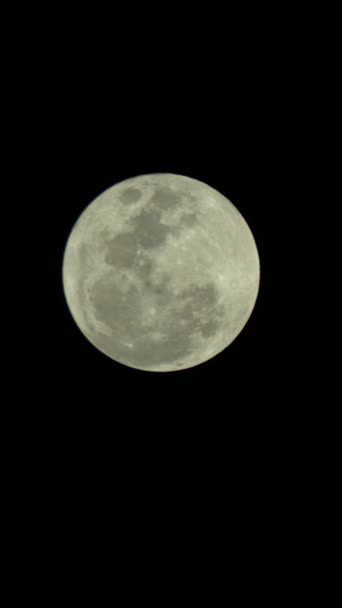 Gece gökyüzünde dolunayın dikey videosu — Stok video