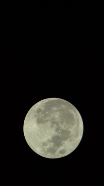 Vídeo vertical de la luna llena en el cielo nocturno — Vídeos de Stock