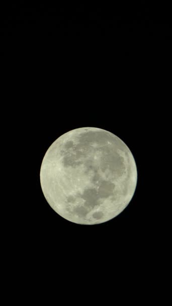 Vidéo verticale de la pleine lune dans le ciel nocturne — Video