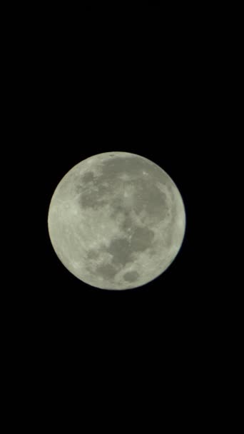 Vídeo vertical de la luna llena en el cielo nocturno — Vídeo de stock