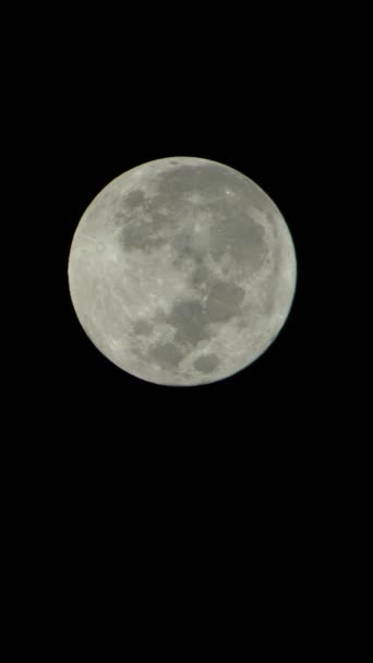 Vídeo vertical de la luna llena en el cielo nocturno — Vídeo de stock