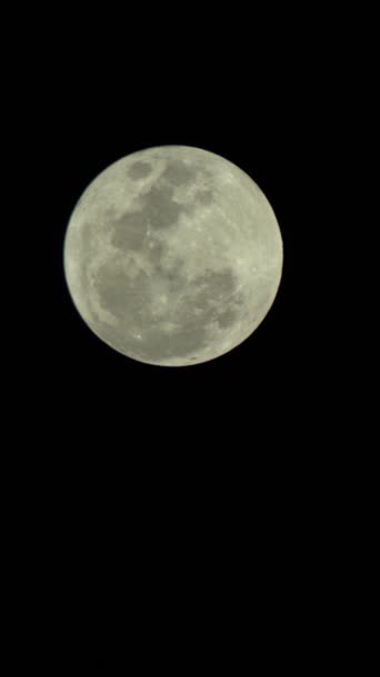 Vídeo vertical de la luna llena en el cielo nocturno — Vídeo de stock