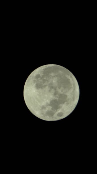 Vídeo vertical da lua cheia no céu noturno — Vídeo de Stock