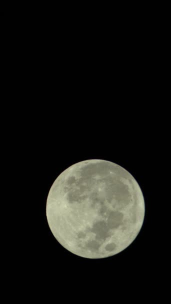 Videoclipul vertical al lunii pline pe cerul nopții — Videoclip de stoc