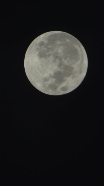 วิดีโอแนวตั้งของพระจันทร์เต็มดวงในท้องฟ้ากลางคืน — วีดีโอสต็อก