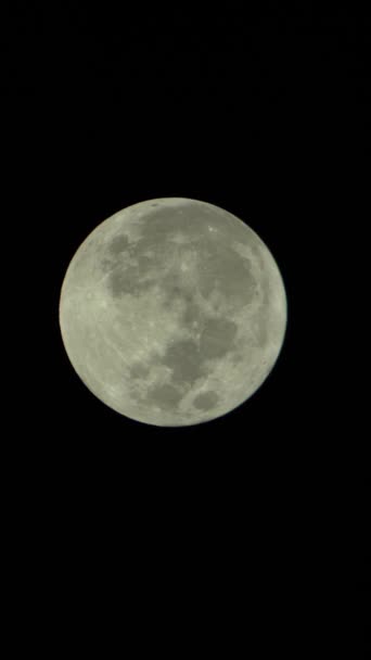 Вертикальне відео повного місяця в нічному небі — стокове відео