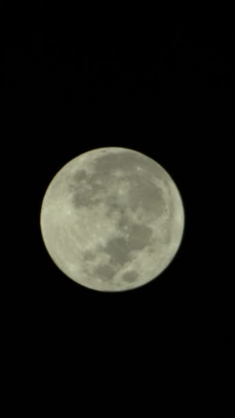 रात्रीच्या आकाशात पूर्ण चंद्राचा अनुलंब व्हिडिओ — स्टॉक व्हिडिओ
