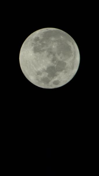 Verticale video van de volle maan aan de nachtelijke hemel — Stockvideo