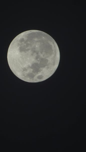 Vídeo vertical de la luna llena en el cielo nocturno — Vídeos de Stock