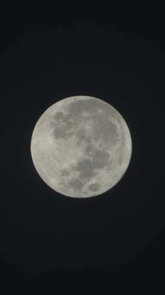 夜空中满月的垂直录像 — 图库视频影像