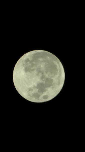 Vídeo vertical de la luna llena en el cielo nocturno — Vídeo de stock