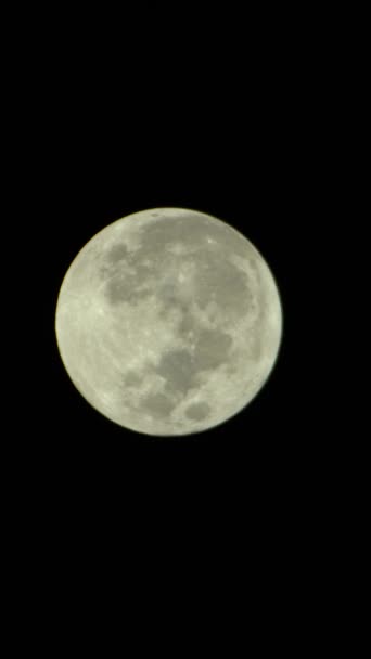 夜空の満月の垂直ビデオ — ストック動画