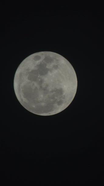 Vídeo vertical de la luna llena en el cielo nocturno — Vídeos de Stock