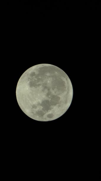 Verticale video van de volle maan aan de nachtelijke hemel — Stockvideo