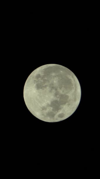Vídeo vertical de la luna llena en el cielo nocturno — Vídeos de Stock