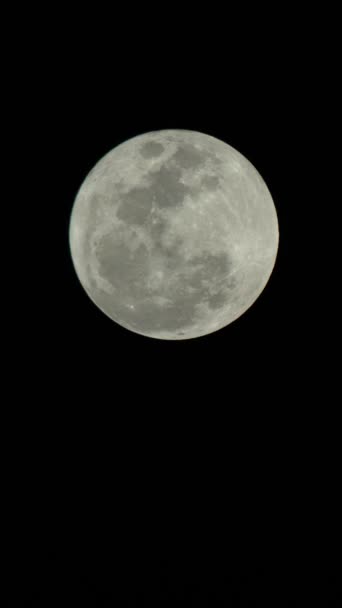 Vídeo vertical de la luna llena en el cielo nocturno — Vídeo de stock