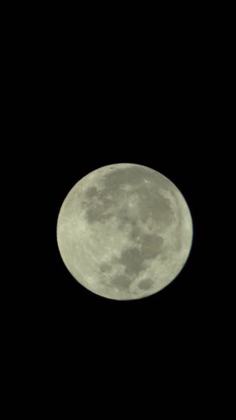 Vídeo vertical de la luna llena en el cielo nocturno — Vídeo de stock