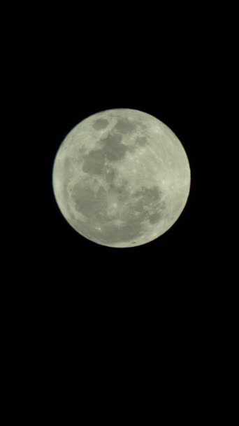 Verticale video van de volle maan aan de nachtelijke hemel — Stockvideo