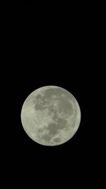 Vertical video of the full moon in the night sky — Stock Video