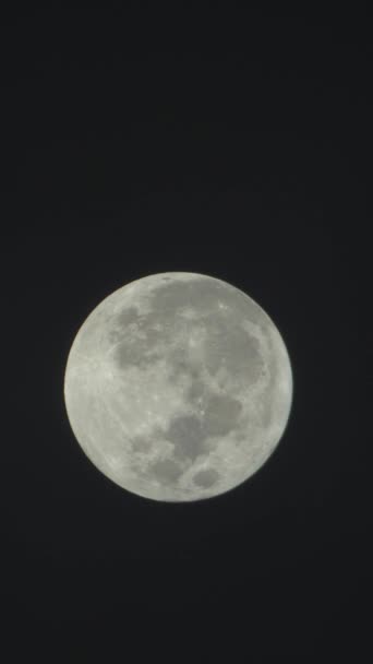 Vídeo vertical da lua cheia no céu noturno — Vídeo de Stock