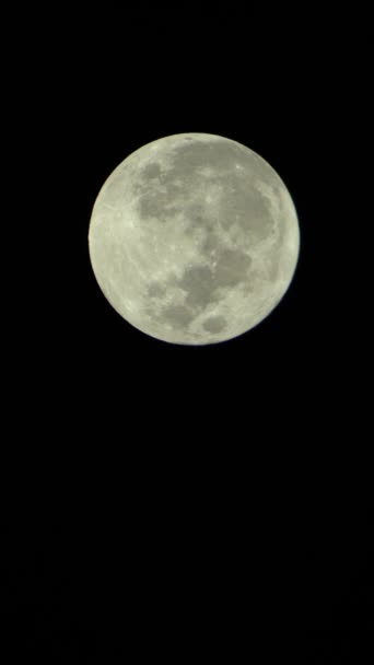 Vídeo vertical de la luna llena en el cielo nocturno — Vídeo de stock