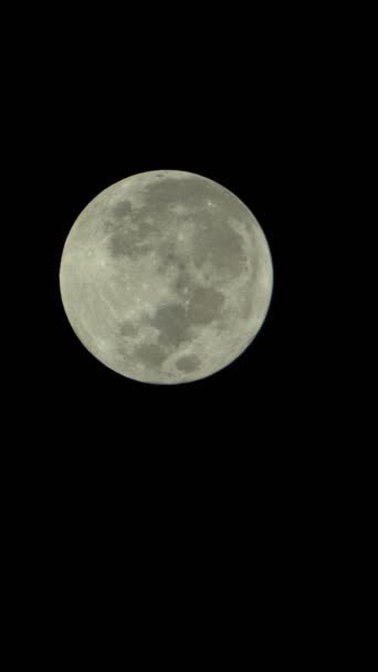 夜空の満月の垂直ビデオ — ストック動画