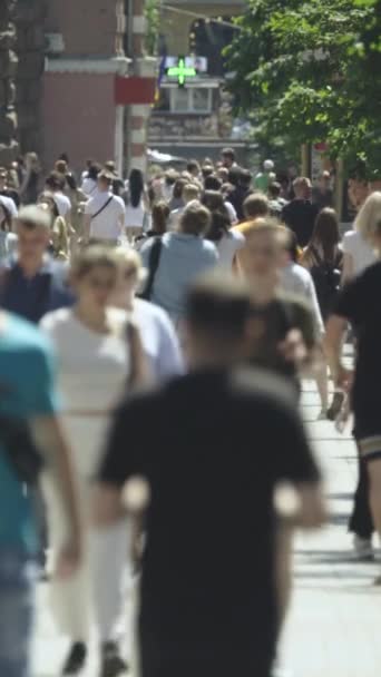 Vertikales Video einer belebten Straße in der Stadt Kiew, Ukraine — Stockvideo