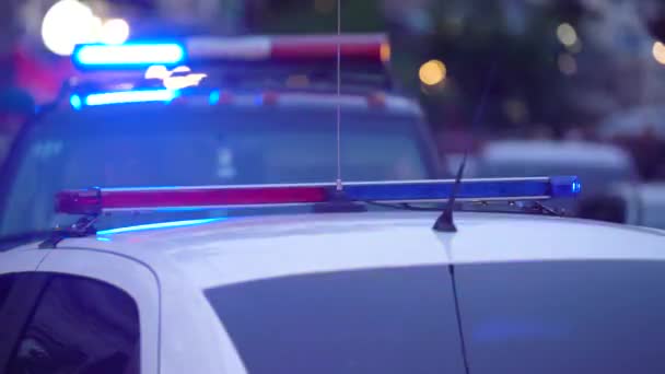 Polizeiauto mit Blaulicht — Stockvideo
