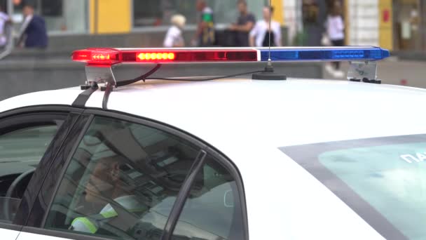 Knipperende politieflitser op het dak van een politieauto — Stockvideo