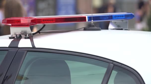 Villogó rendőri villogó a tetőn egy rendőrautó — Stock videók