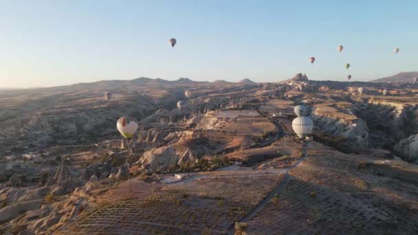 Luchtballonnen in de lucht boven Goreme National Park in Cappadocia, Turkije — Stockvideo