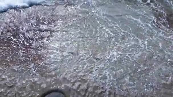 Tengeri víz a part közelében napközben — Stock videók