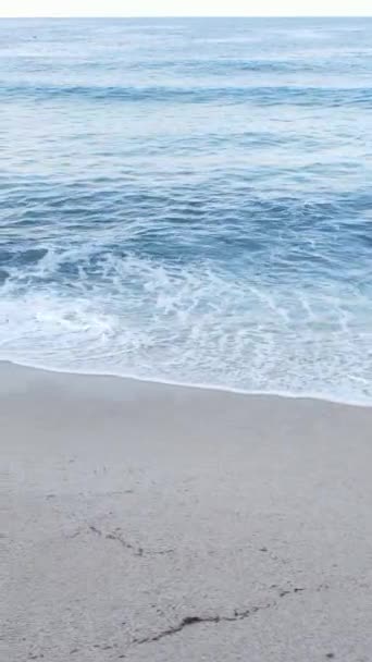 Vertikal video av havet nära stranden — Stockvideo