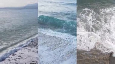 Deniz kıyısının yakınındaki bir videoda üç tane.